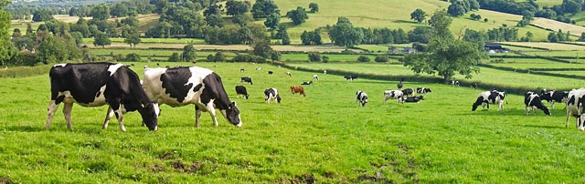 Landwirtschaft